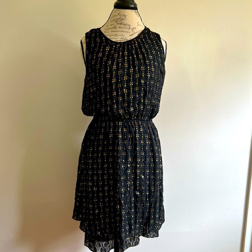 Maison Jules Black and Gold dress